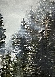 Hazel Irvine, B. Des, SOLD