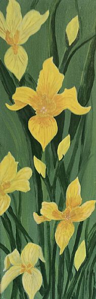 32 Margaret- Anne Mackie