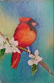 Red Cardinal