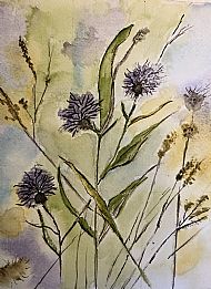 Wild Flowers by the River