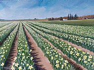 Cathy Reid, M Des RCA, Daffodil Fields