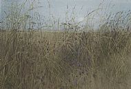 David E Johnston RSW, Autumn