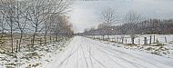 David E Johnston RSW, Snowfall, Denlethen