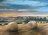 David Turner OBE, Harvest Sunset