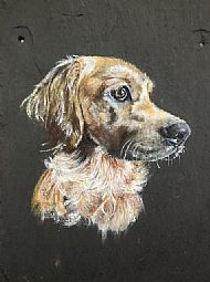 Gillian Edward, Dog Daze