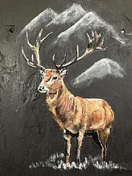 Gillian Edward, Stag Doo