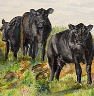 Gaye Thornton-Kemsley, Angus Three