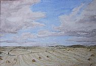 Judith Scurfield Wells, Harvest Sky