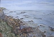 Judith Scurfield Wells, Shoreline - Cowie