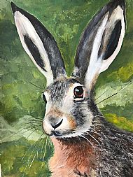 Joan Wightman, The Hare