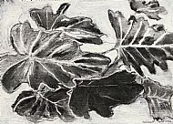 Kathleen Murray, Monochrome Leaves