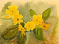 Kathleen Murray, Primroses