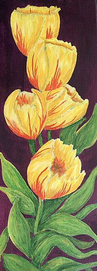 Margaret Anne Mackie, Colour Burst