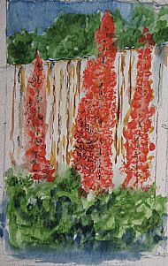 Hilda Findlay, Flowers in the Garden 