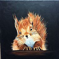 Red Squirrel