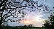 From Wadenhoe. Jan 2016 (2)