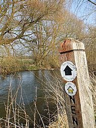 Mar 2015 - The Nene Way follows the backwater to the left over the bridge.