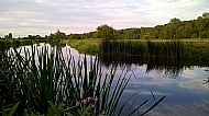 Jul 2016 - far swim to left - off the footpath - calm as a mill pond.