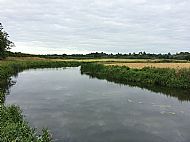 Jul 2019 - upstream from High Bridge - geese, lock and church in the distance.