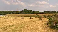 Aug 2016 - Hay baled - that is why your dog's poo needed picking up & taking away (in hay it smells awful and spreads disease!)