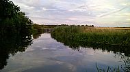 Jul 2016 - the Island swim, below the lock.