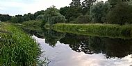 Jul 2016 - upstream from the lock.