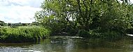 May 2014 - backwater of the Mill Pond.