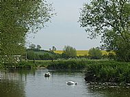 May 2015 - Looking across the Mill Pond to the water meadows.