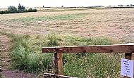 Jul 2015 - The water meadow is cut for hay - that is why dog poo must be picked up & taken away!