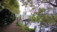 Oct 2016 - The White Bridge, Nene Way footpath.