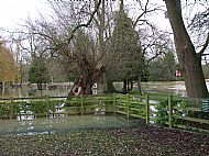 Nov 2012 - Kings Head riverside & into Village Hall carpark