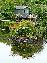 Commended - Lakeside Reflections