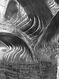 1st Place - Negative Date Palm Trunk