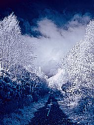 Old Road to Bailey Bridge