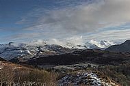 Kintail Sister