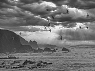 Stormy Stonehaven
