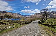 Walk Along Glen Clacha