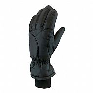 Ski Gloves