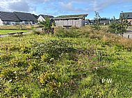 Storm Floris damage - 5/8/2025