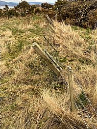 Top fence
