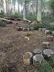 Outdoor classroom area