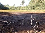 A dry Culbokie Loch, 2018