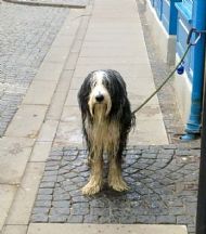SAm after a swim