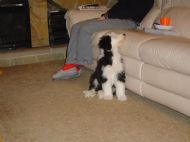 Ellie 11/02/05