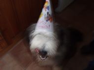 Sam the birthday boy