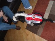 24 10 2010 Bertie