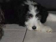 Oh i am so.... so.... tired this floor makes a good bed too