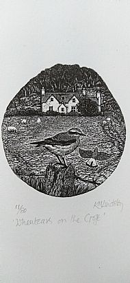 Wheatears on the Croft