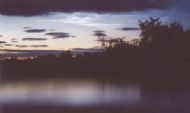 Noctilucent Clouds 07/2003 - Pauline Macrae