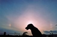 Sundogs June 2005